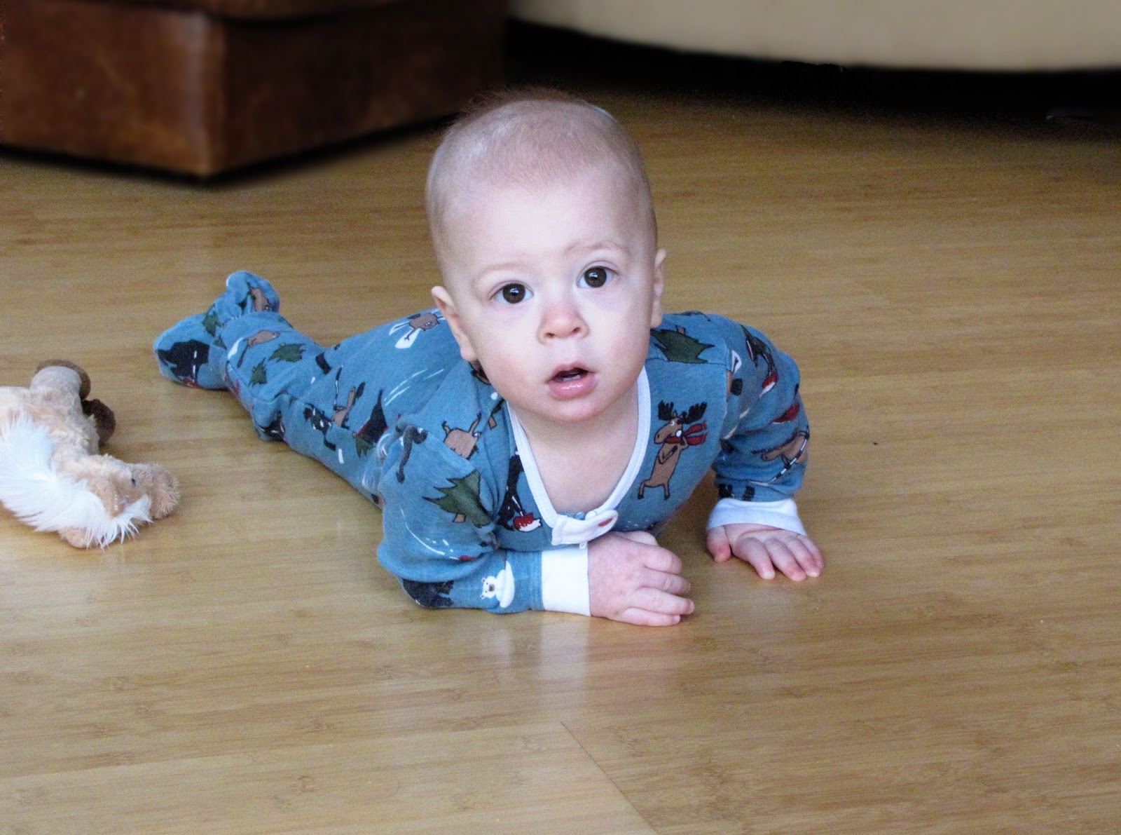 baby bjorn an update Sweet Anna's